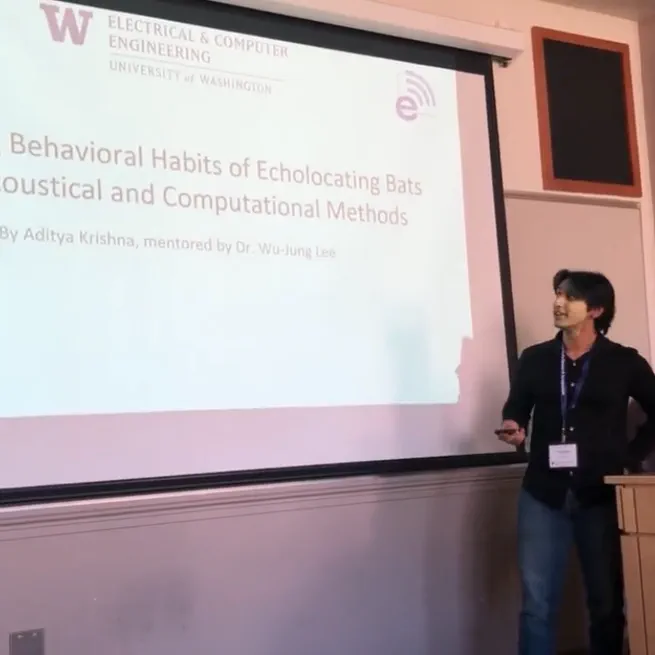 Discerning behavioral habits of echolocating bats using acoustical and computational methods